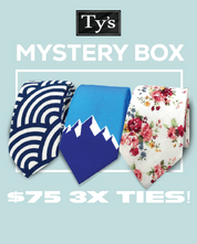 3 Ties Mystery Box