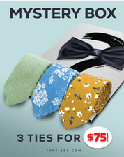 3 Ties Mystery Box
