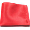 2826384951663 Finishing Touch Pocket Square Collection