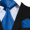 b3ff6505-a403-4d1f-903d-de85fd41820e Exquisite - Premium Jacquard Silk Tie Sets